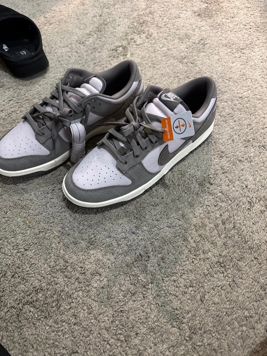 Nike Other - Men’s Nike dunk lows NEW